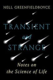 Transient and Strange